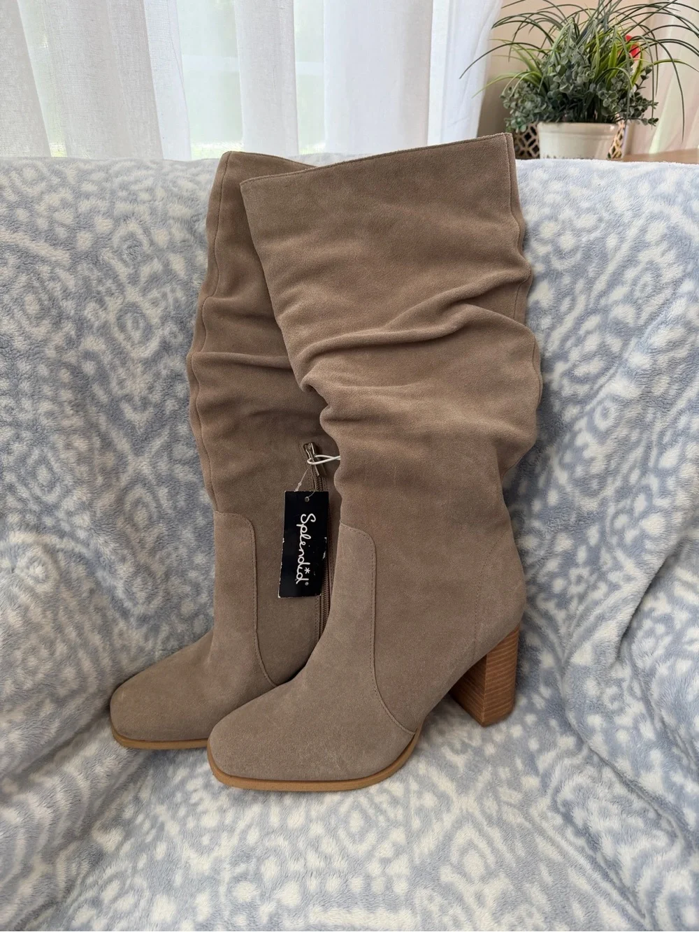 Splendid chic over